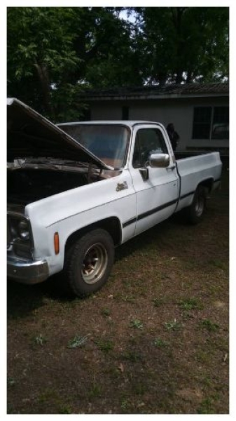 1977 Chevrolet Scottsdale for sale in Michigan (ID-138344)
