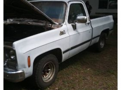 1977 Chevrolet Scottsdale for sale