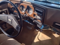 1977 Chevrolet Silverado for sale in Michigan (ID-95016)