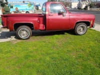 1977 Chevrolet Silverado for sale in Michigan (ID-125813)