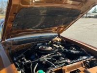 1977 Chrysler Cordoba for sale in Michigan (ID-127998)