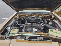 1977 Chrysler Newport for sale in Michigan (ID-138917)