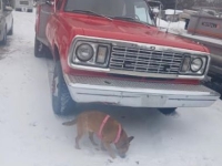 1977 Dodge D700 for sale in Michigan (ID-156218)