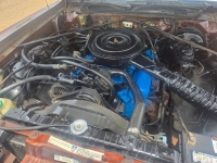 1977 Dodge Monaco for sale in Michigan (ID-163975)