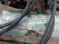 1977 Dodge Tradesman for sale in Michigan (ID-143487)