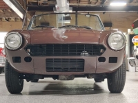 1977 Fiat 124 Spider for sale in Michigan (ID-117452)