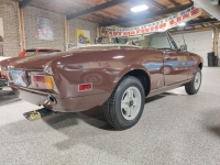 1977 Fiat 124 Spider for sale in Michigan (ID-117452)
