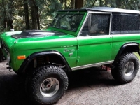 1977 Ford Bronco for sale in Michigan (ID-107483)