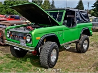1977 Ford Bronco for sale in Michigan (ID-107483)