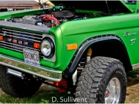 1977 Ford Bronco for sale in Michigan (ID-107483)