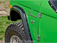 1977 Ford Bronco for sale in Michigan (ID-107483)