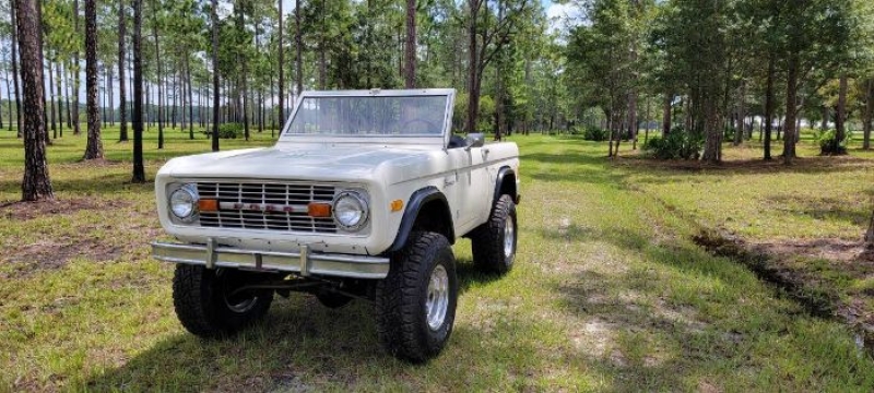 1977 Ford Bronco for sale in Michigan (ID-109472)