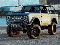 1977 Ford Bronco for sale in Michigan (ID-128263)