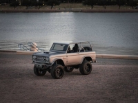 1977 Ford Bronco for sale in Michigan (ID-128263)
