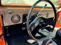 1977 Ford Bronco for sale in Michigan (ID-131296)