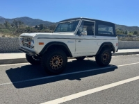 1977 Ford Bronco for sale in Michigan (ID-142143)