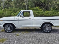 1977 Ford F100 for sale in Michigan (ID-145762)