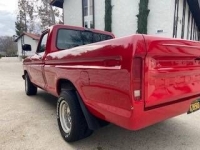 1977 Ford F150 for sale in Michigan (ID-96019)