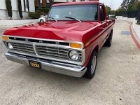 1977 Ford F150 for sale in Michigan (ID-96019)