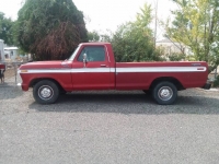 1977 Ford F150 for sale in Michigan (ID-116410)