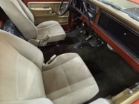 1977 Ford F150 for sale in Michigan (ID-142155)