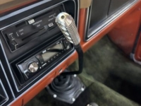 1977 Ford F150 for sale in Michigan (ID-142155)