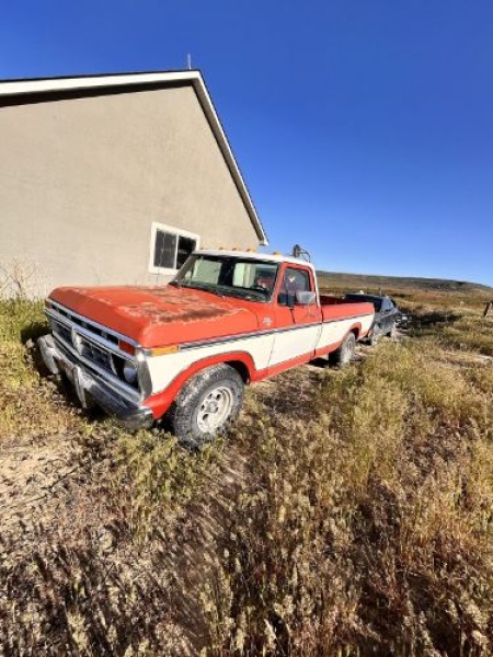 1977 Ford F150 for sale in Michigan (ID-143496)