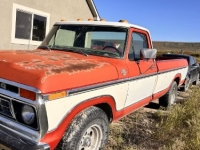 1977 Ford F150 for sale in Michigan (ID-143496)