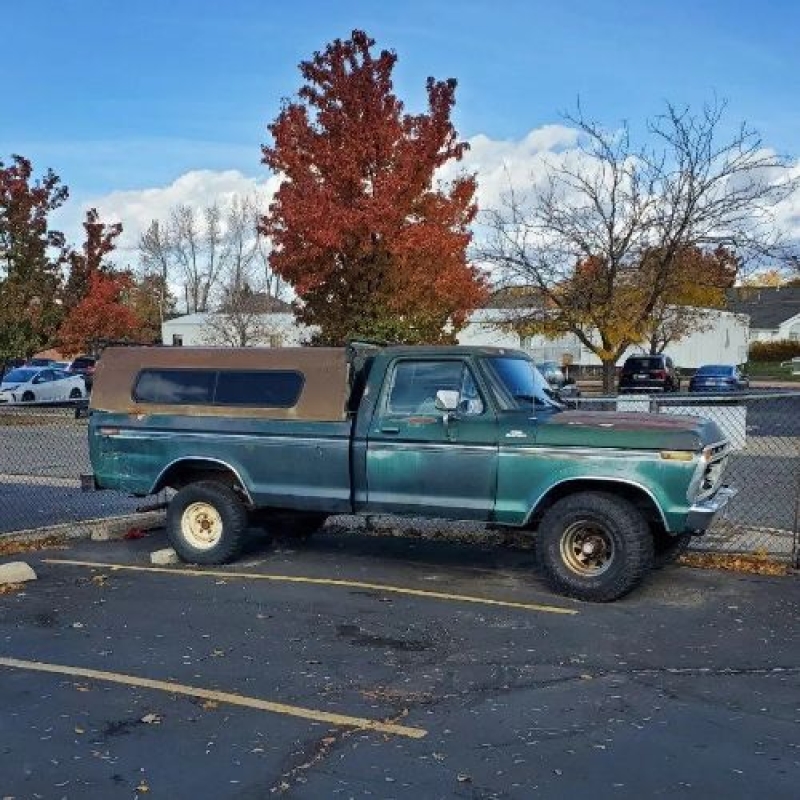 1977 Ford F150 for sale in Michigan (ID-146311)