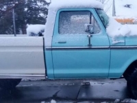 1977 Ford F250 for sale in Michigan (ID-124184)