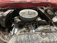 1977 Ford F250 for sale (ID-133756)