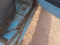 1977 Ford F250 for sale in Michigan (ID-164051)