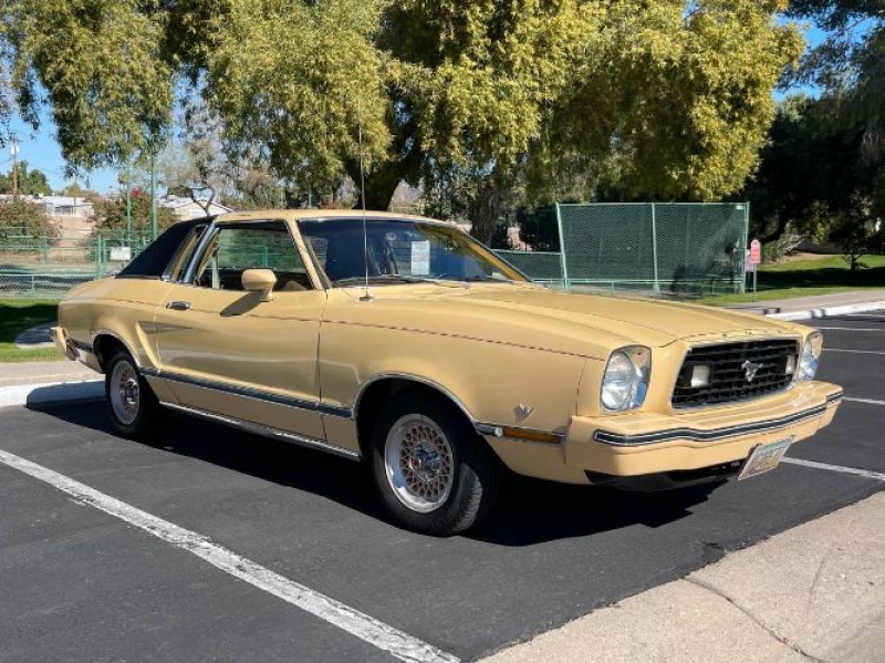 1977 Ford Mustang for sale in Michigan (ID-95624)