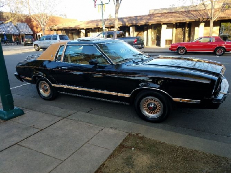 1977 Ford Mustang for sale in Michigan (ID-113004) 1977 Ford Mustang for sale in Michigan (ID-113004)