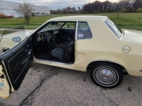 1977 Ford Mustang for sale in Michigan (ID-118471)