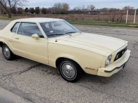 1977 Ford Mustang for sale in Michigan (ID-118471)