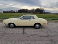 1977 Ford Mustang for sale in Michigan (ID-118471)