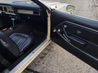 1977 Ford Mustang for sale in Michigan (ID-118471)