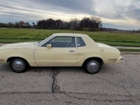 1977 Ford Mustang for sale in Michigan (ID-118471)
