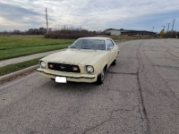 1977 Ford Mustang for sale in Michigan (ID-118471)