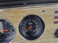 1977 Ford Mustang for sale in Michigan (ID-118471)