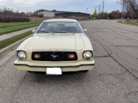 1977 Ford Mustang for sale in Michigan (ID-118471)
