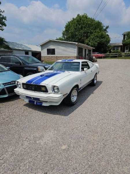 1977 Ford Mustang for sale in Michigan (ID-125832) 1977 Ford Mustang for sale in Michigan (ID-125832)