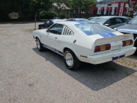 1977 Ford Mustang for sale in Michigan (ID-125832)