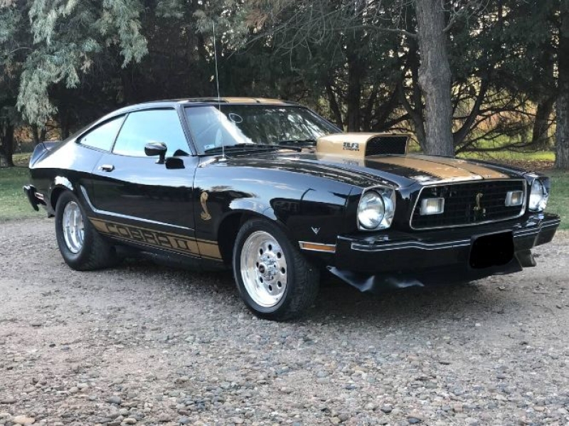 1977 Ford Mustang for sale in Michigan (ID-128346)