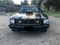 1977 Ford Mustang for sale in Michigan (ID-128346)