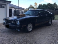 1977 Ford Mustang for sale in Michigan (ID-128346)
