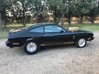 1977 Ford Mustang for sale in Michigan (ID-128346)