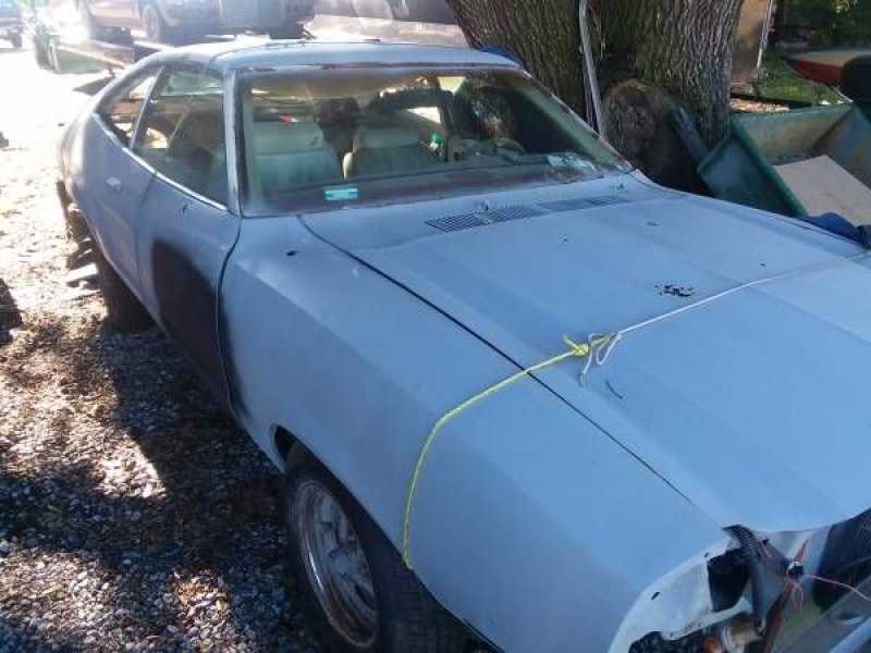 1977 Ford Mustang for sale in Michigan (ID-136129)