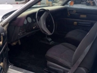 1977 Ford Ranchero for sale in Michigan (ID-124217)